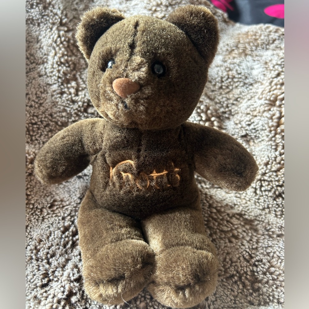 Knotts Vintage Brown Bear